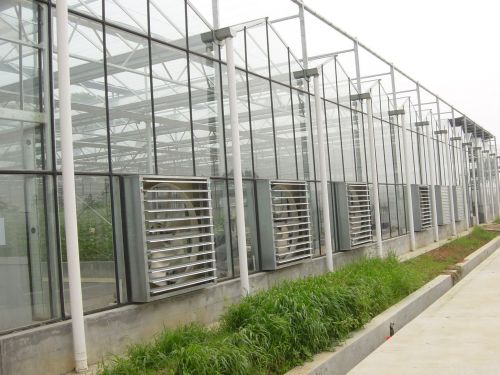 溫室工程的建設(shè)需要注意什么